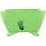 Pot à bonsaï carré jaune de Seizan - 103 x 104 x 57 mm
