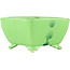 Pot à bonsaï carré jaune de Seizan - 103 x 104 x 57 mm