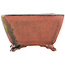 Square red bonsai pot by Seizan - 98 x 98 x 55 mm