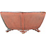 Square red bonsai pot by Seizan - 98 x 98 x 55 mm