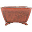 Square red bonsai pot by Seizan - 98 x 98 x 55 mm