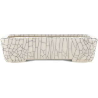 Seiko Maceta rectangular de 122 mm con diseño craquelado blanco para bonsái de Seiko, Japón