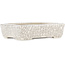 Maceta rectangular para bonsái con efecto craquelado blanco de Seiko - 122 x 92 x 30 mm
