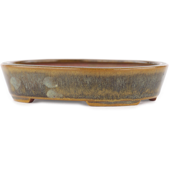 Vaso bonsai ovale verde di Seiko - 118 x 98 x 26 mm