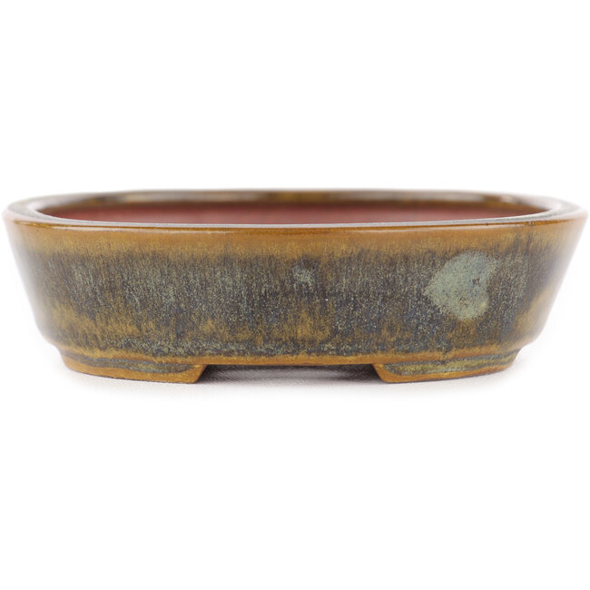 Maceta ovalada verde para bonsái de Seiko - 118 x 98 x 26 mm