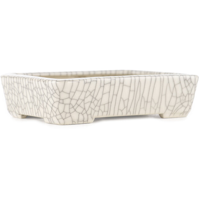 Vaso bonsai rettangolare craquelé bianco di Seiko - 122 x 92 x 30 mm