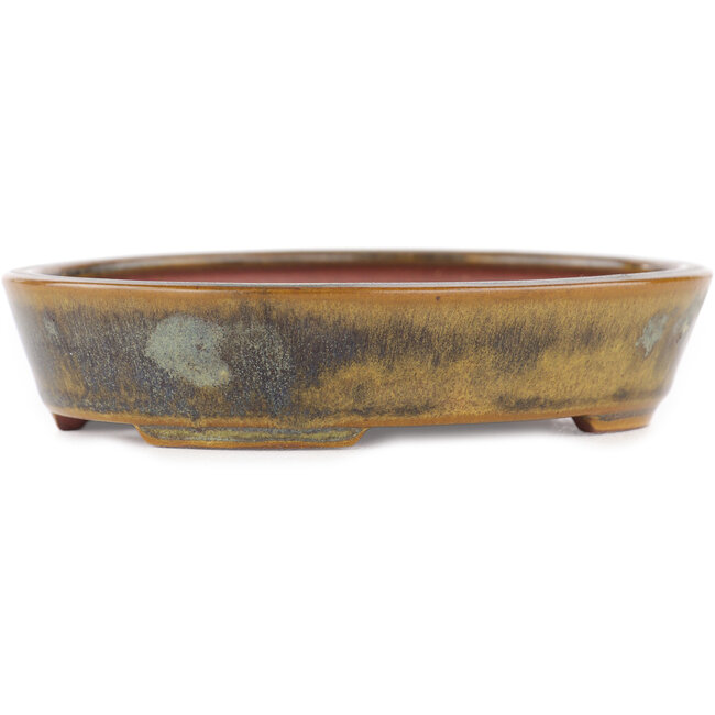 Ovale groene bonsai pot van Seiko - 118 x 98 x 26 mm