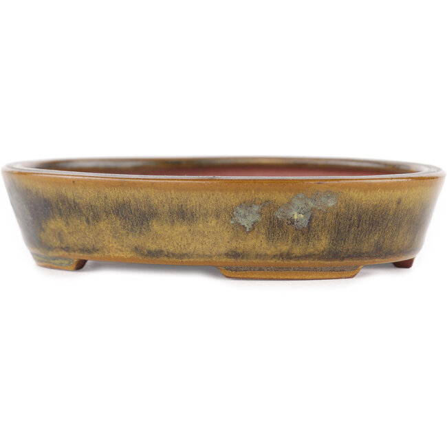 Maceta ovalada verde para bonsái de Seiko - 118 x 98 x 26 mm