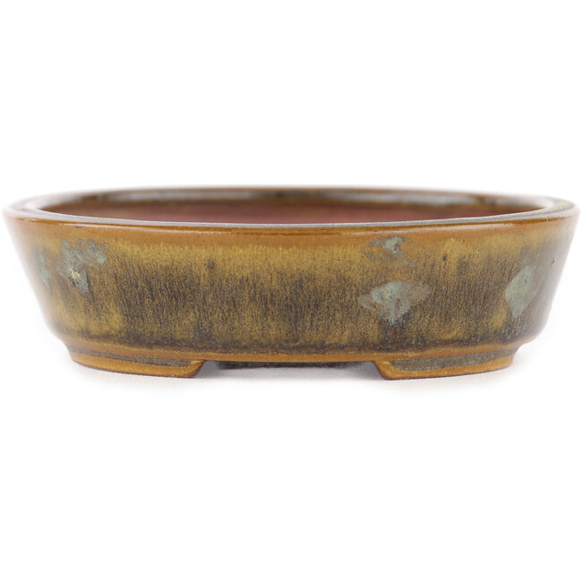 Oval green bonsai pot by Seiko - 118 x 98 x 26 mm