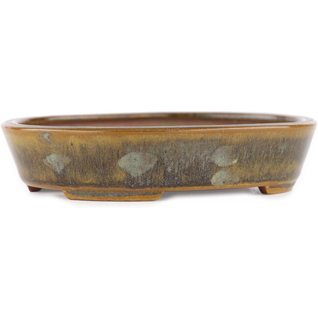 Ovale groene bonsai pot van Seiko - 118 x 98 x 26 mm