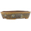 Pot à bonsaï ovale vert de Seiko - 118 x 98 x 26 mm