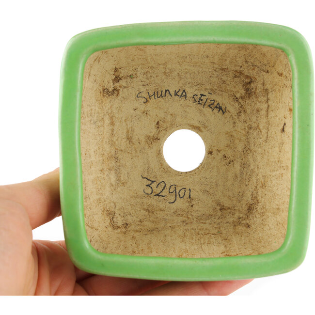 Pot à bonsaï carré vert de Seizan - 99 x 97 x 55 mm