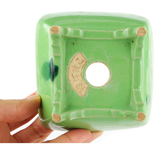 Square green bonsai pot by Seizan - 99 x 97 x 55 mm