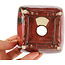 Square red bonsai pot by Seizan - 98 x 98 x 55 mm