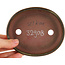 Pot à bonsaï ovale vert de Seiko - 118 x 98 x 26 mm