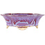 Vaso bonsai multicolore viola e blu Mokko di Keiun Fukuda - 176 x 157 x 57 mm