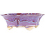 Vaso bonsai multicolore viola e blu Mokko di Keiun Fukuda - 176 x 157 x 57 mm