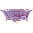 Vaso bonsai multicolore viola e blu Mokko di Keiun Fukuda - 176 x 157 x 57 mm