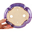 Pot à bonsaï multicolore violet et bleu Mokko par Keiun Fukuda - 176 x 157 x 57 mm