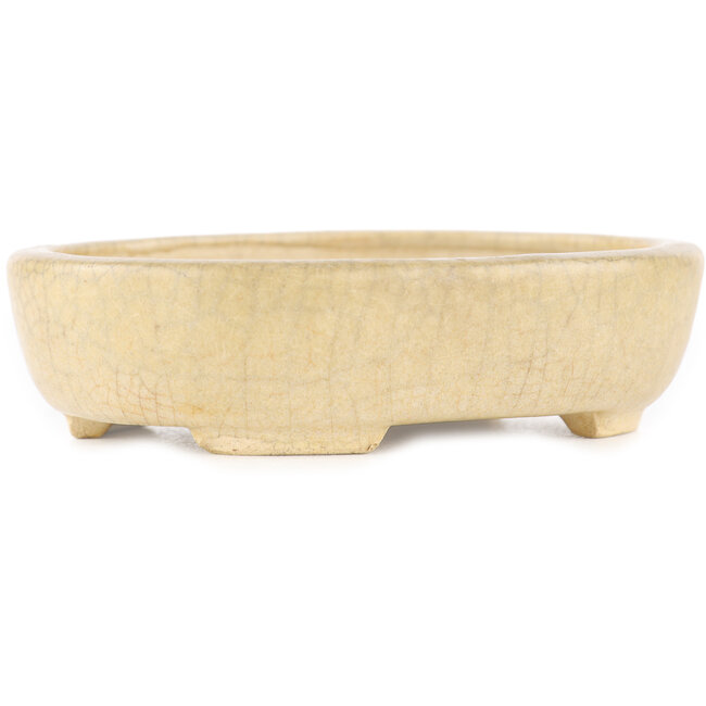 Vaso bonsai rotondo craquelé bianco sporco di Ikkou - 101 x 79 x 26 mm