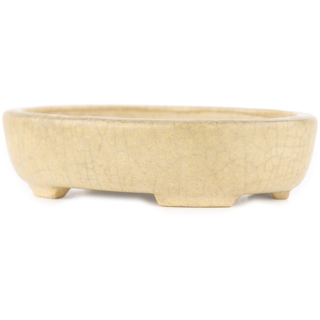 Vaso bonsai rotondo craquelé bianco sporco di Ikkou - 101 x 79 x 26 mm