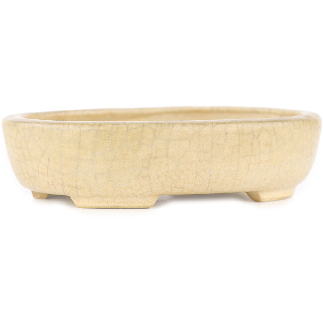 Vaso bonsai rotondo craquelé bianco sporco di Ikkou - 101 x 79 x 26 mm