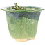 Vaso bonsai rotondo verde di Masashi Furumoto - 122 x 122 x 92 mm