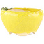Pot à bonsaï rond jaune de Masashi Furumoto - 140 x 140 x 80 mm