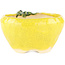 Pot à bonsaï rond jaune de Masashi Furumoto - 140 x 140 x 80 mm