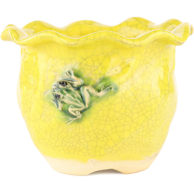 Pot à bonsaï rond jaune de Masashi Furumoto - 120 x 120 x 90 mm