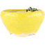 Pot à bonsaï rond jaune de Masashi Furumoto - 140 x 140 x 80 mm