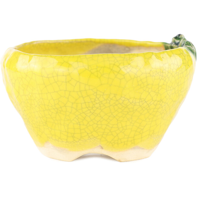 Round yellow bonsai pot by Masashi Furumoto - 140 x 140 x 80 mm