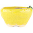 Pot à bonsaï rond jaune de Masashi Furumoto - 140 x 140 x 80 mm