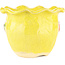 Vaso bonsai rotondo giallo di Masashi Furumoto - 120 x 120 x 90 mm