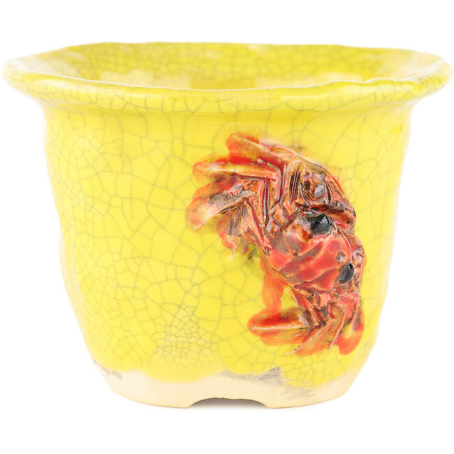 Maceta redonda amarilla para bonsái de Masashi Furumoto - 115 x 115 x 85 mm