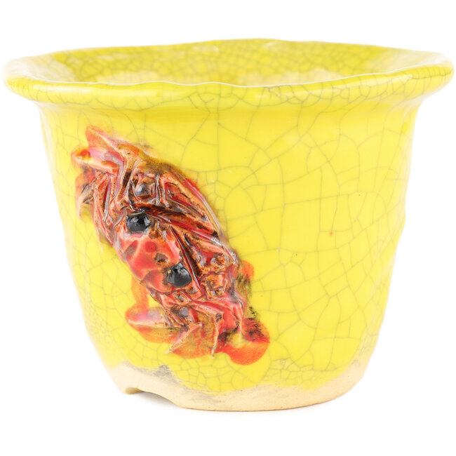 Vaso bonsai rotondo giallo di Masashi Furumoto - 115 x 115 x 85 mm