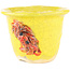 Pot à bonsaï rond jaune de Masashi Furumoto - 115 x 115 x 85 mm
