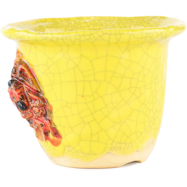 Vaso bonsai rotondo giallo di Masashi Furumoto - 115 x 115 x 85 mm