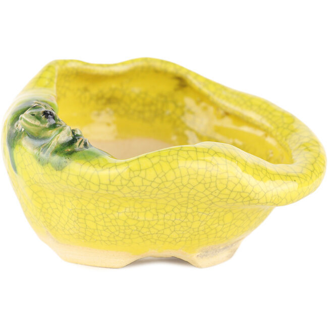 Vaso bonsai rotondo giallo di Masashi Furumoto - 115 x 115 x 45 mm