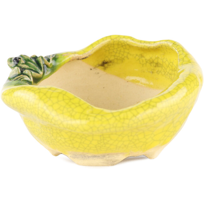 Vaso bonsai rotondo giallo di Masashi Furumoto - 115 x 115 x 45 mm