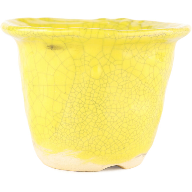 Vaso bonsai rotondo giallo di Masashi Furumoto - 115 x 115 x 85 mm