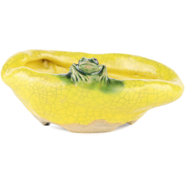 Maceta redonda amarilla para bonsái de Masashi Furumoto - 117 x 100 x 45 mm