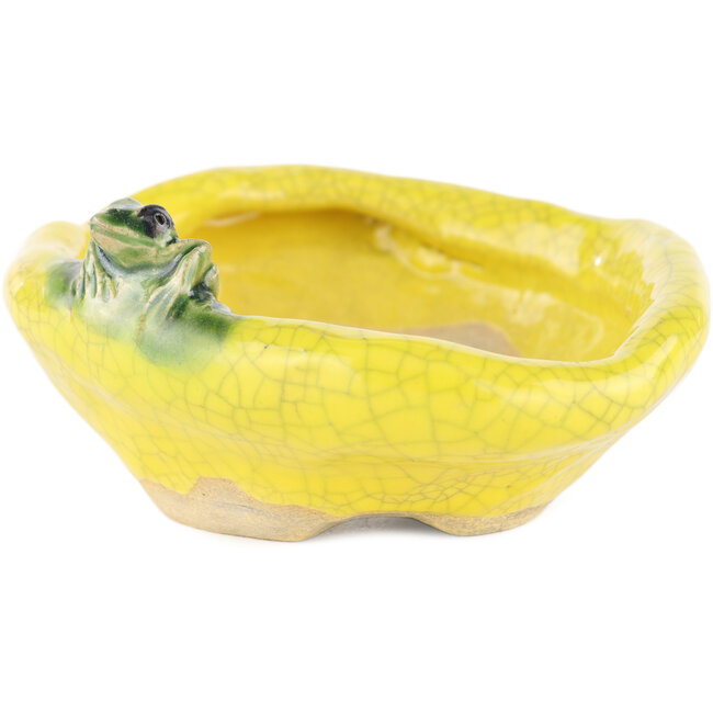 Vaso bonsai rotondo giallo di Masashi Furumoto - 117 x 100 x 45 mm