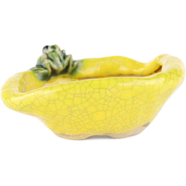 Pot à bonsaï rond jaune de Masashi Furumoto - 117 x 100 x 45 mm