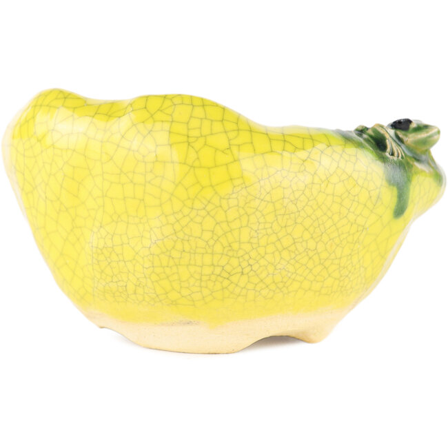 Vaso bonsai rotondo giallo di Masashi Furumoto - 115 x 115 x 45 mm