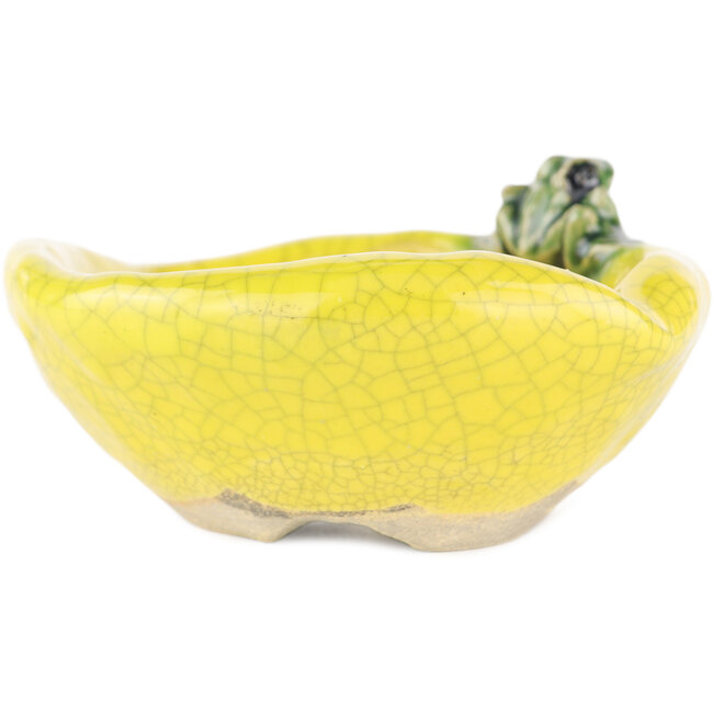 Vaso bonsai rotondo giallo di Masashi Furumoto - 117 x 100 x 45 mm