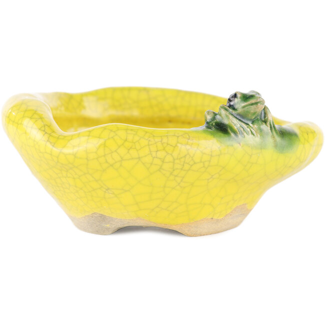 Vaso bonsai rotondo giallo di Masashi Furumoto - 117 x 100 x 45 mm