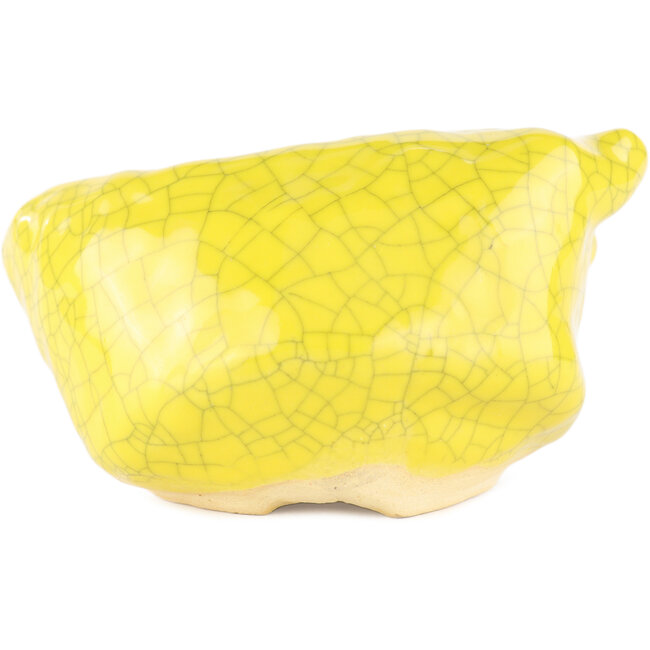 Pot à bonsaï rond jaune de Masashi Furumoto - 113 x 85 x 50 mm