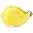 Pot à bonsaï rond jaune de Masashi Furumoto - 113 x 85 x 50 mm