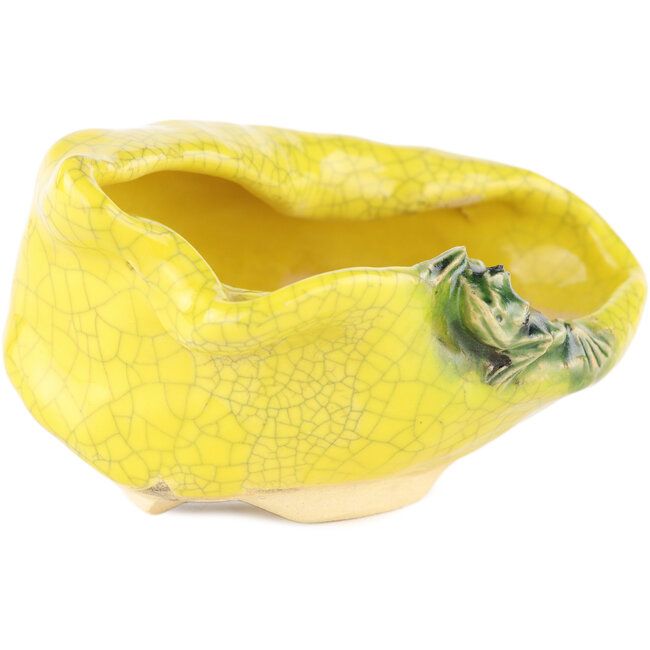 Round yellow bonsai pot by Masashi Furumoto - 113 x 85 x 50 mm